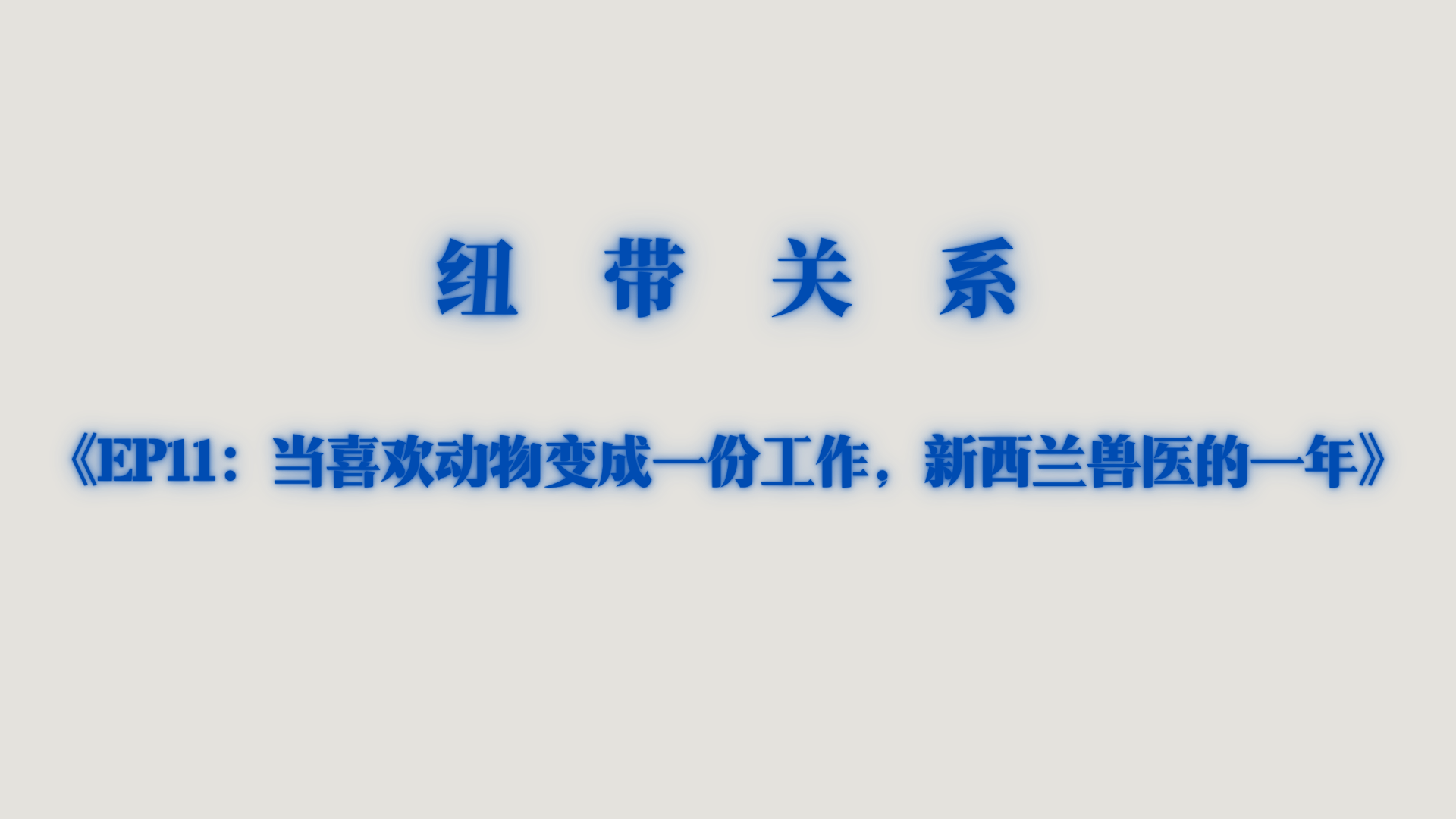 当“喜欢动物”变成一份工作：新西兰兽医的一年